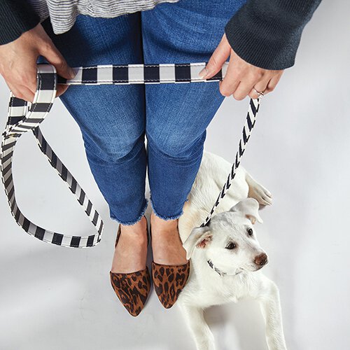 Leashes + Collars